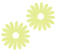 Blume